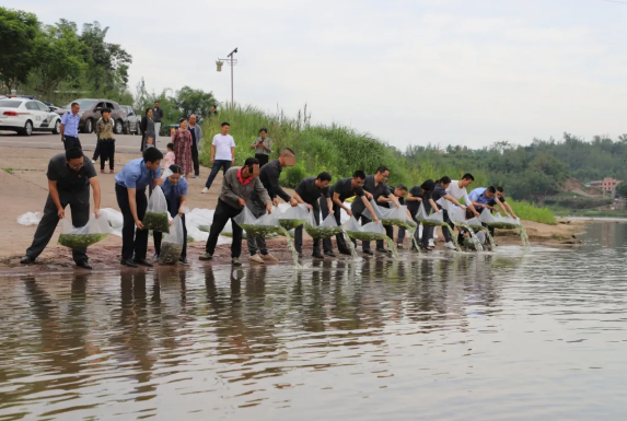 微信图片_20240919150214.jpg 微信图片_20240919150214.jpg