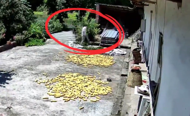 63d613f9-ecda-411b-a90a-d47f7df1187e.png 63d613f9-ecda-411b-a90a-d47f7df1187e.png